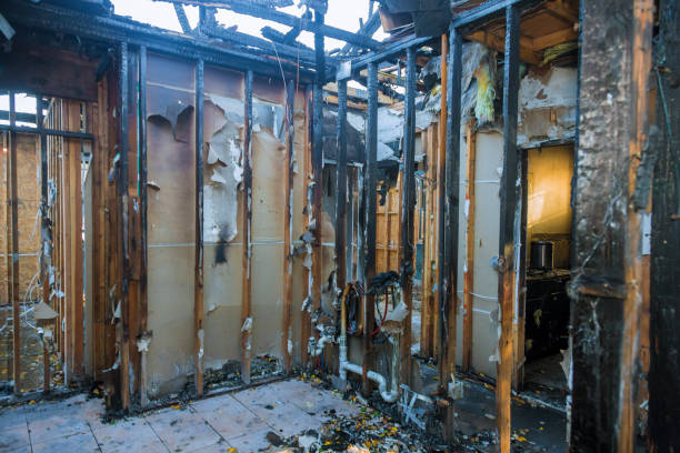 Professional Fire Damage Cleanup technician working in Cannon Falls, MN