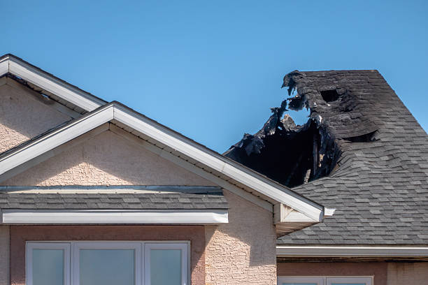 Top rated local Fire Damage Cleanup specialists in Cannon Falls, MN